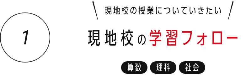 1) 現地校の学習フォロー